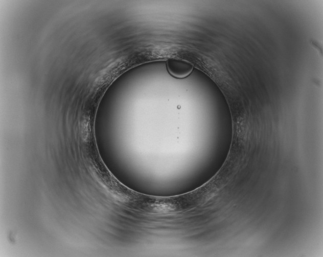 X0000102820741200808181245