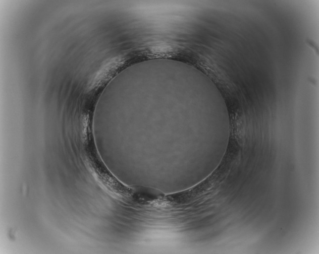 X0000102820742200808181245