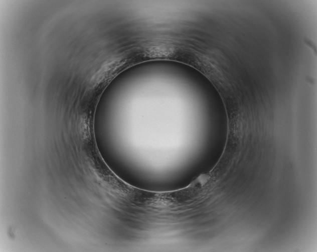 X0000102820743200808181245