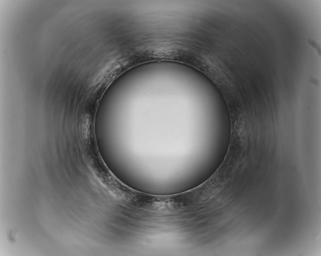 X0000102820744200808181245