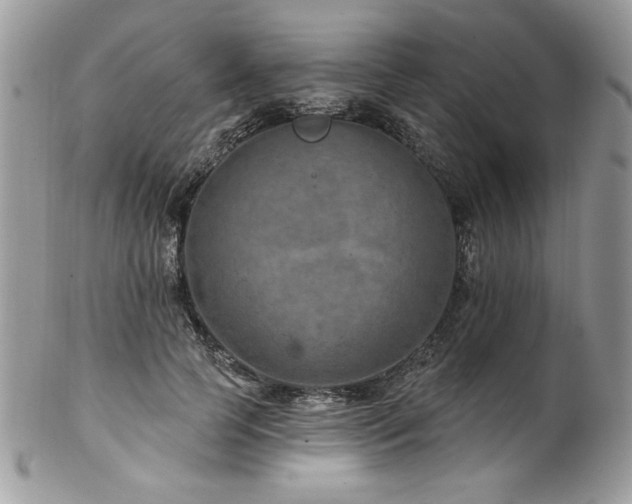 X0000102820745200808181245