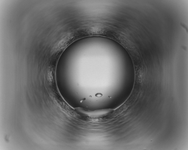 X0000102820746200808181245