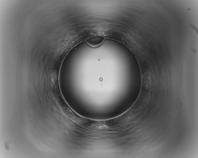 X0000102820747200808181245