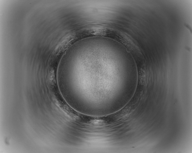 X0000102820748200808181245