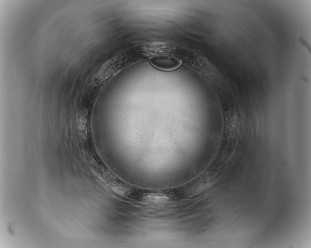 X0000102820749200808181245