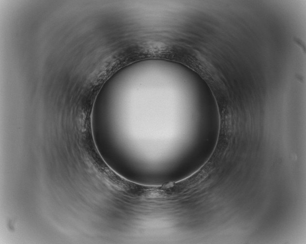X0000102820750200808181245