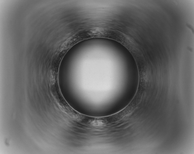X0000102820751200808181245