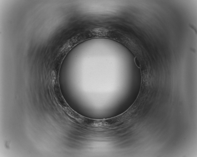 X0000102820752200808181245