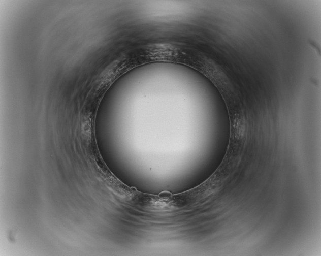 X0000102820753200808181245