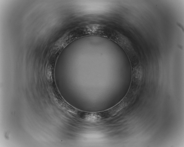 X0000102820754200808181245