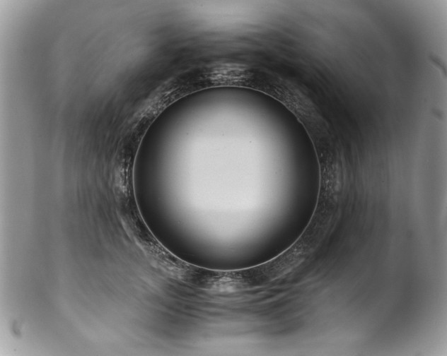 X0000102820755200808181245