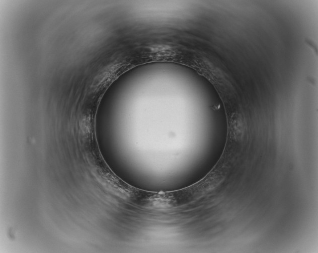 X0000102820756200808181245