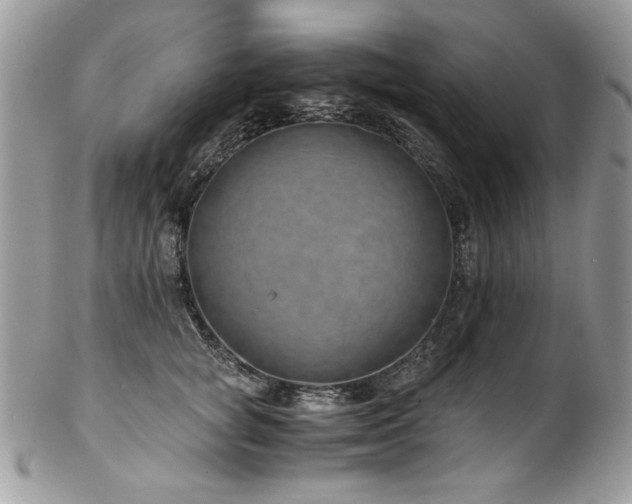 X0000102820757200808181245
