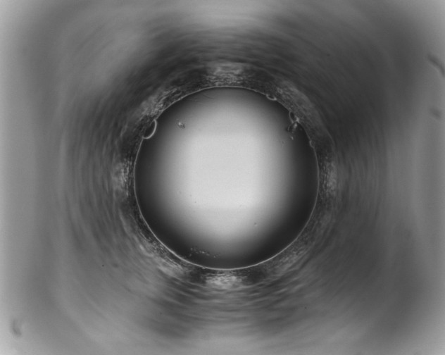 X0000102820759200808181245
