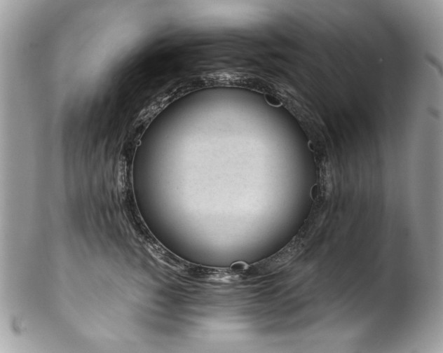 X0000102820760200808181245