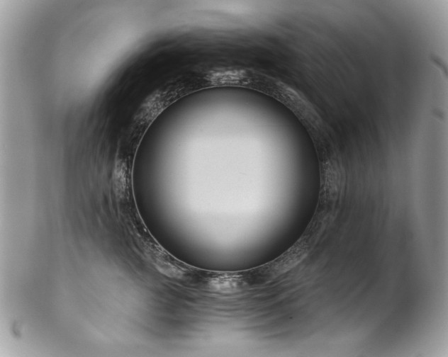 X0000102820761200808181245