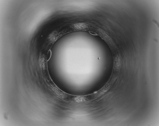 X0000102820762200808181246