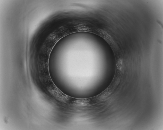 X0000102820763200808181246