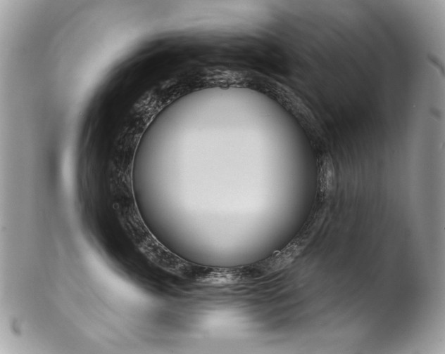 X0000102820764200808181246