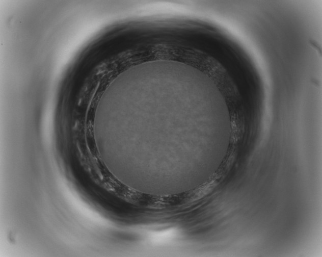 X0000102820765200808181246