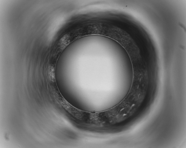 X0000102820766200808181246