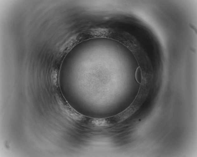 X0000102820767200808181246