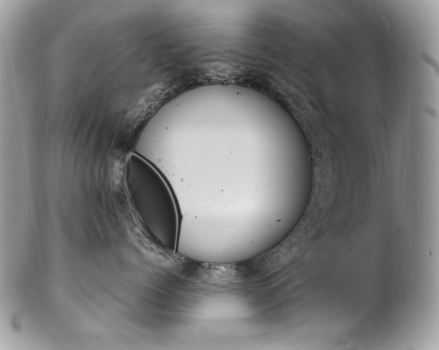 X0000102820768200808181246
