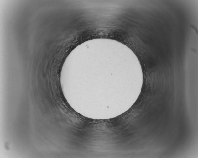 X0000102820769200808181245