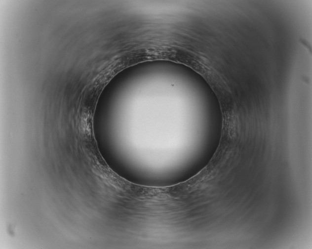 X0000102820770200808181245