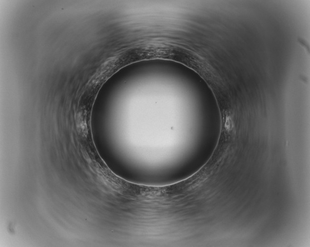 X0000102820771200808181245