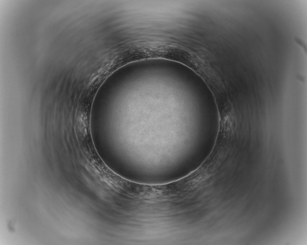 X0000102820772200808181245