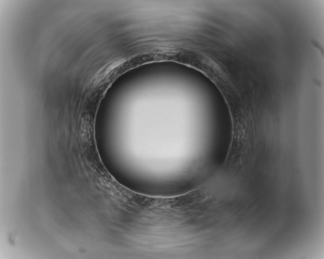 X0000102820773200808181245