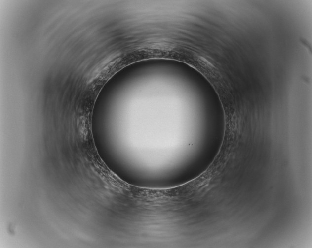 X0000102820774200808181245