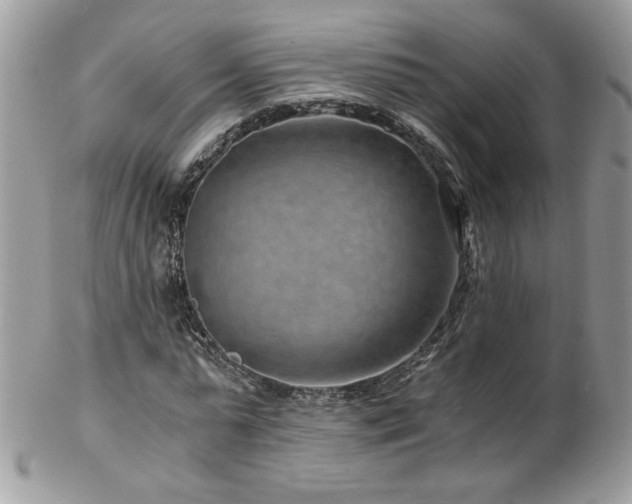 X0000102820775200808181245