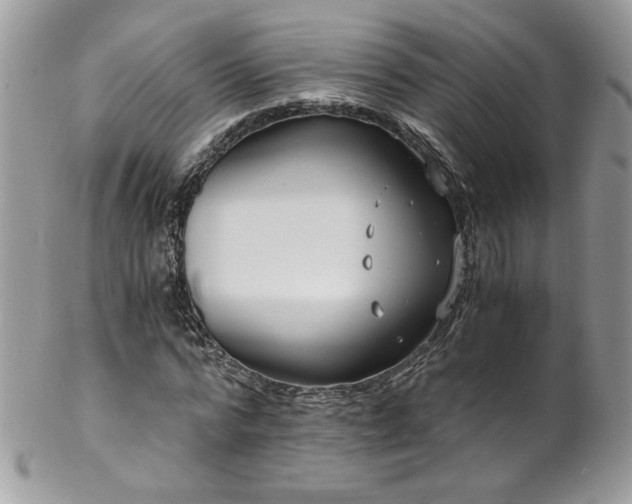 X0000102820776200808181245