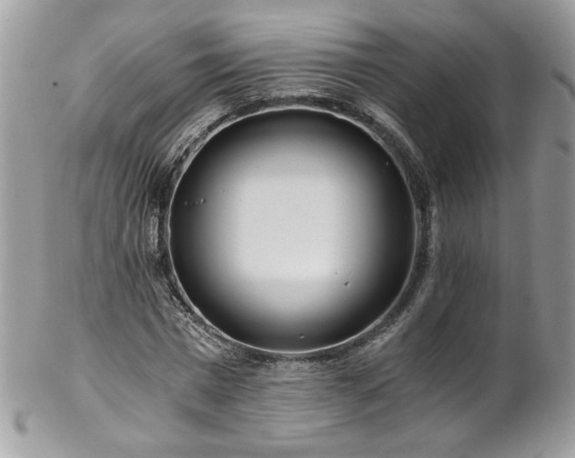 X0000102820777200808181245