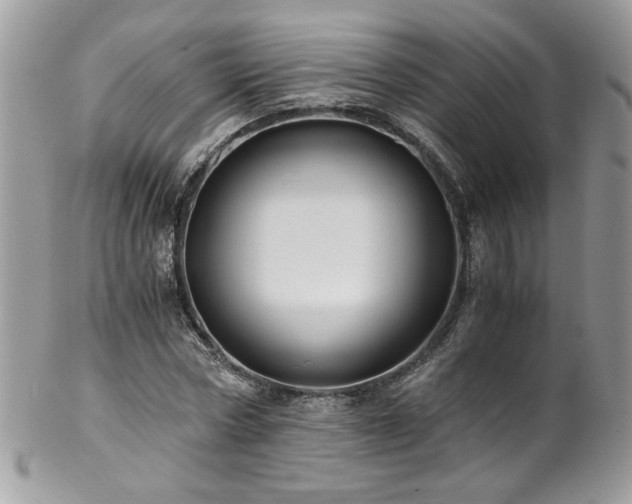 X0000102820778200808181245