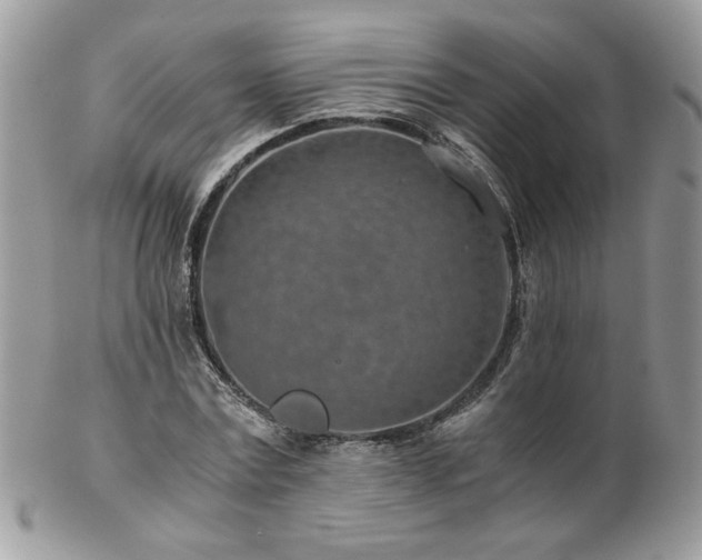 X0000102820779200808181245