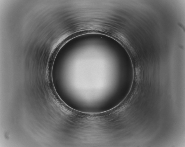 X0000102820780200808181245