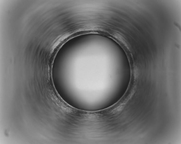 X0000102820781200808181245