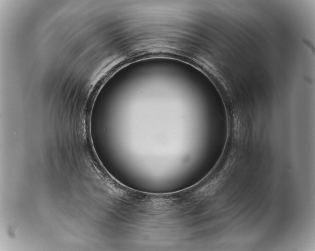 X0000102820782200808181245