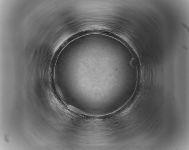 X0000102820783200808181245