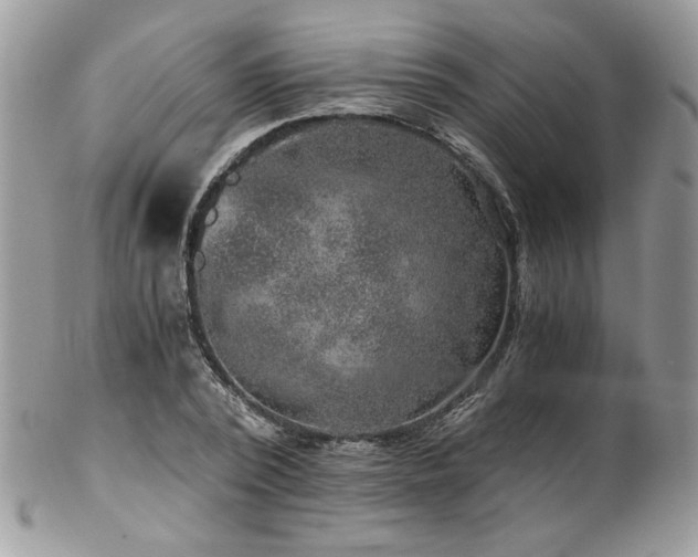 X0000102820784200808181245