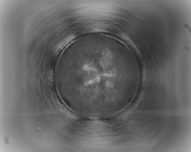 X0000102820785200808181245
