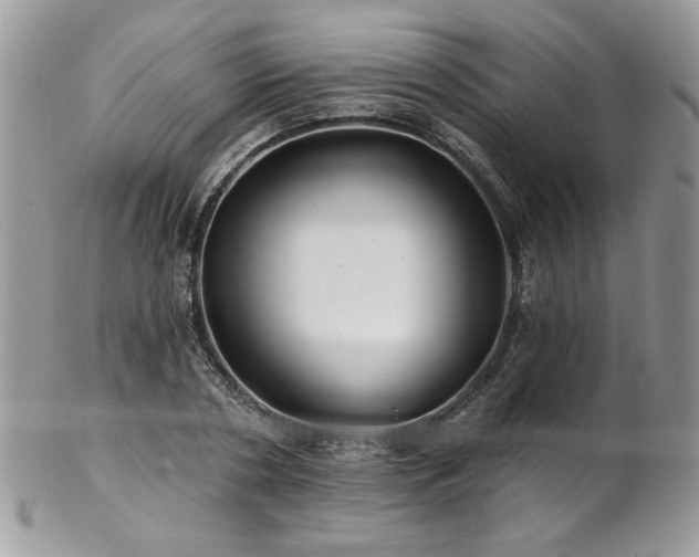 X0000102820786200808181245