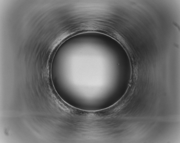 X0000102820787200808181245
