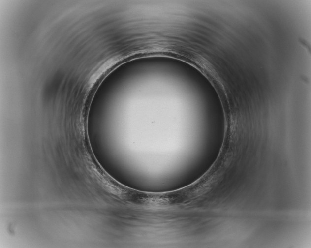 X0000102820789200808181245