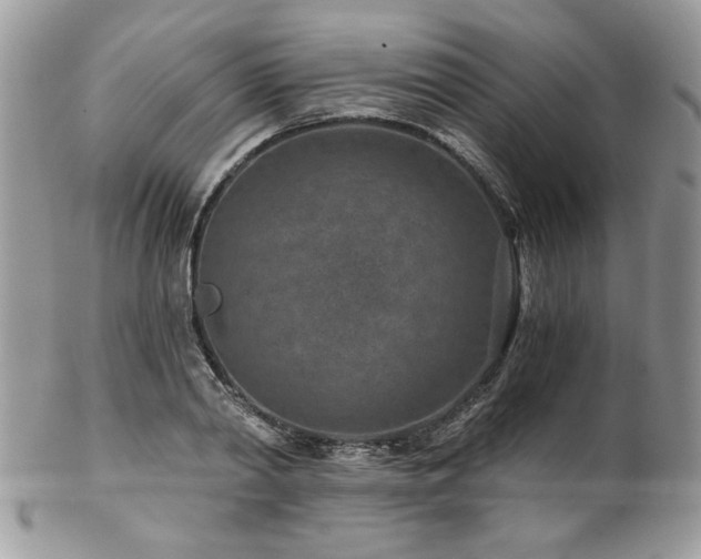 X0000102820790200808181245