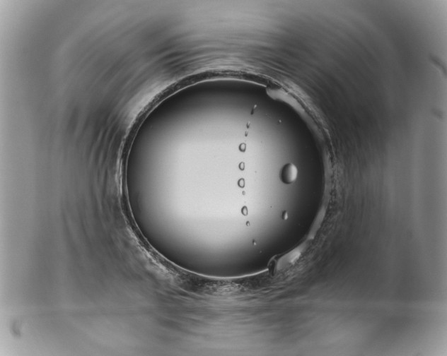 X0000102820791200808181245