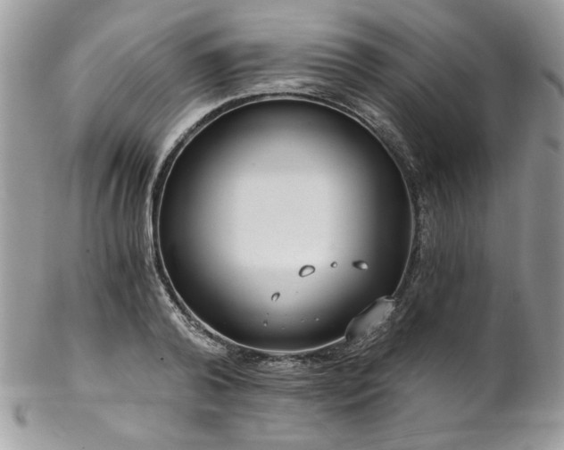 X0000102820792200808181245